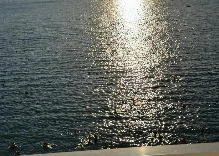 Eve's House 2 In Front Of The Apartament